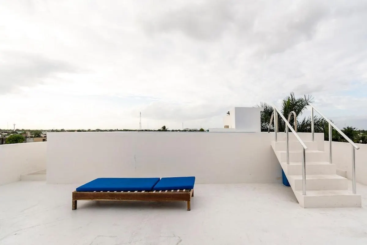 Apartment Casa De Mario 3 Rooftop Pool Cozumel Mexico